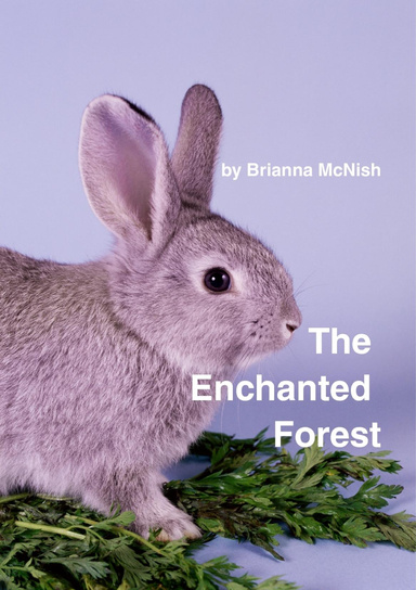The Enchanted Forest