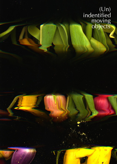Sweeping subversion Objects