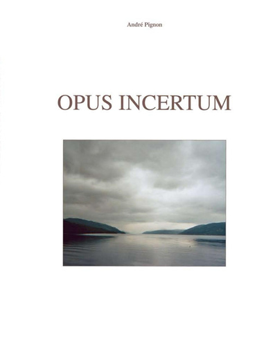 Opus Incertum