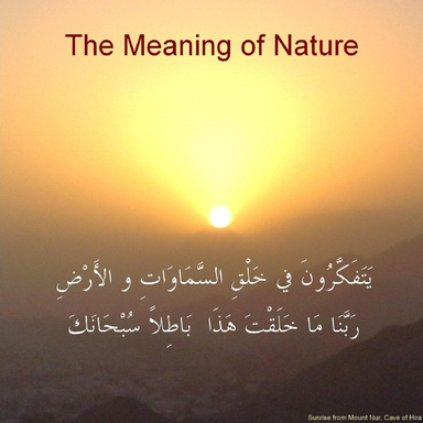 The Meaning of Nature