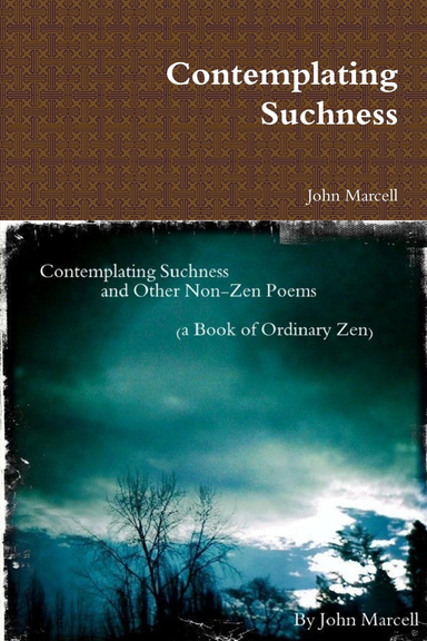 Contemplating Suchness