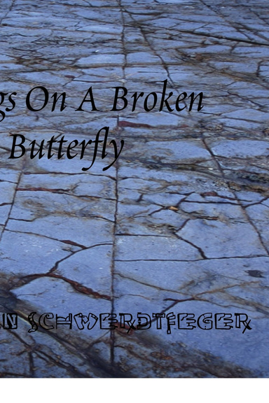Wings On A Broken Butterfly