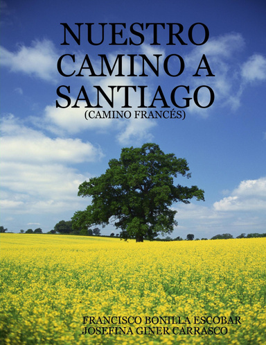 NUESTRO CAMINO A SANTIAGO