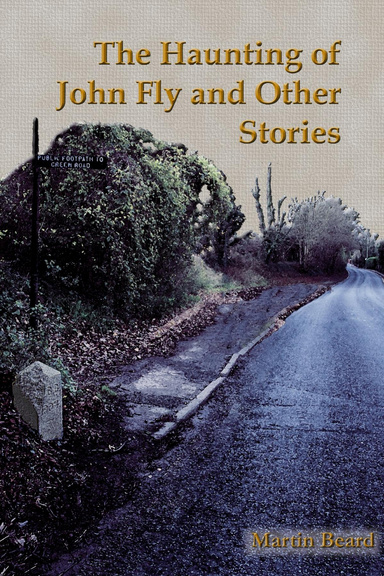 The Haunting of John Fly and Other Stories Paperback
