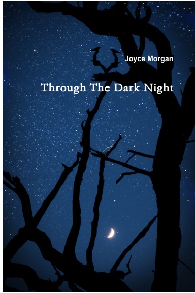 Through the Dark Night