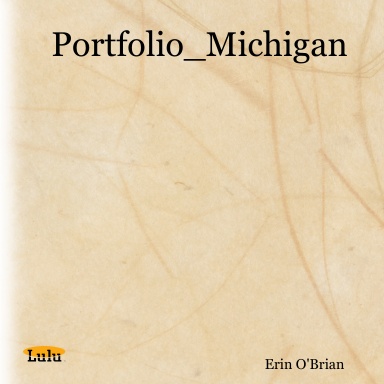 Portfolio_Michigan
