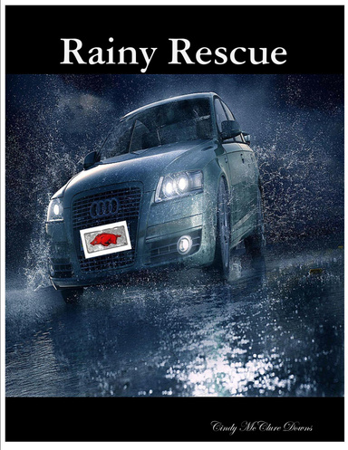 Rainy Rescue