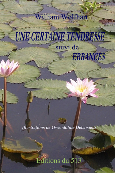 Une certaine tendresse  suivi de   Errances