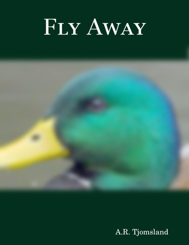 Fly Away