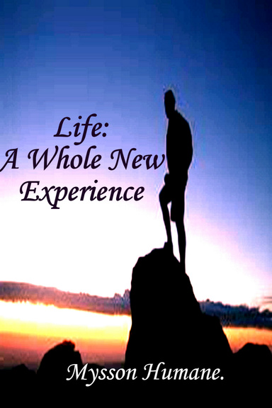 Life: A Whole New Experience