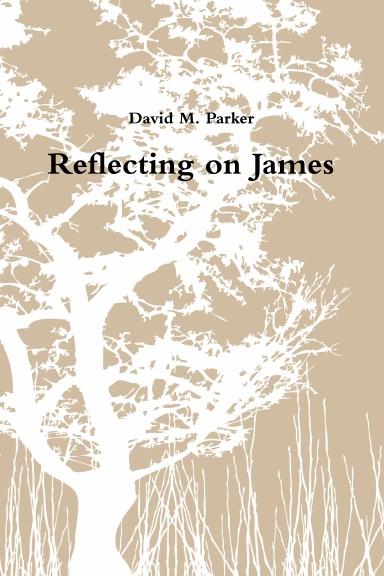 Reflecting on James