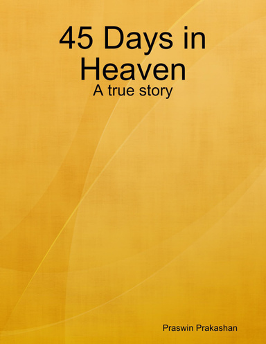 45 Days in Heaven: A true story