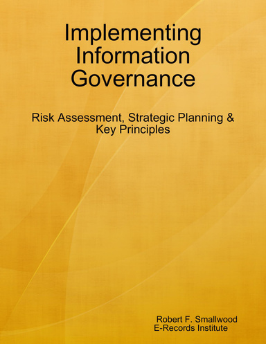 Implementing Information Governance: Risk Assessment, Strategic Planning & Key Principles