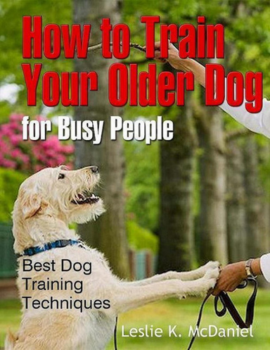How to Train Your Older Dog for Busy People: Best Dog Training Techniques