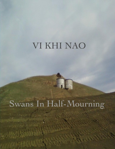 Swans In Half-Mourning