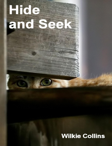 Hide and Seek