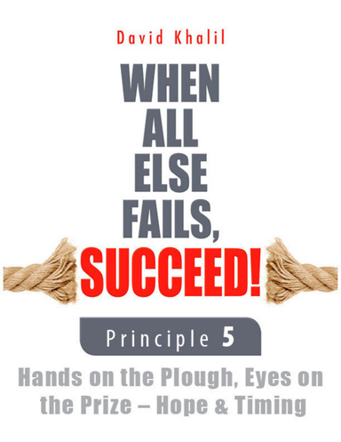 When All Else Fails, Succeed!: Principle 5 Hands on the Plough, Eyes on the Prize - Hope & Timing
