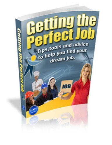 How to Get the Perfect Job