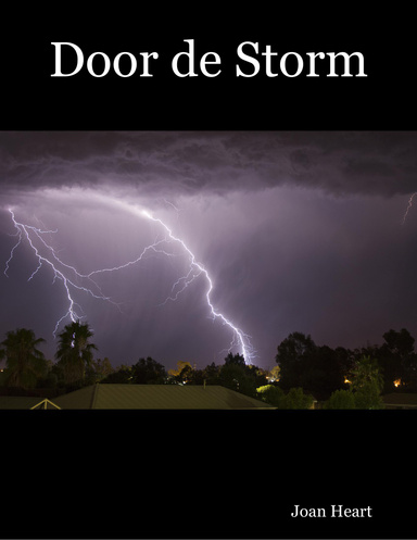 Door de Storm