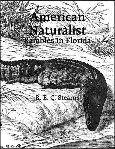 American Naturalist: Rambles in Florida