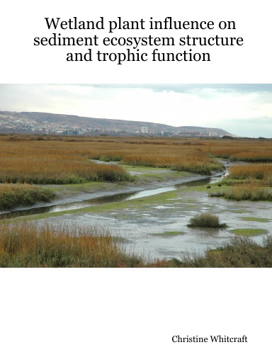 Wetland plant influence on sediment ecosystem structure and trophic function
