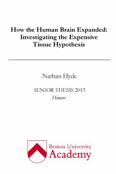 How the Human Brain Expanded: Investigating the Expensive Tissue Hypothesis