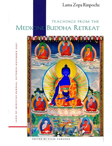 Teachings from the Medicine Buddha Retreat