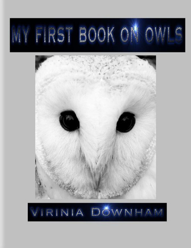 My First Book on Owls