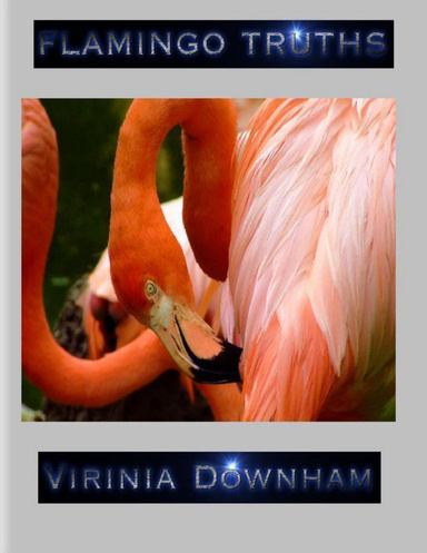 Flamingo Truths