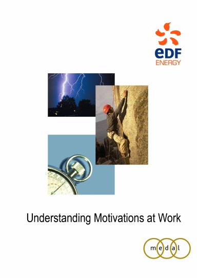 Understanding Motivations at Work