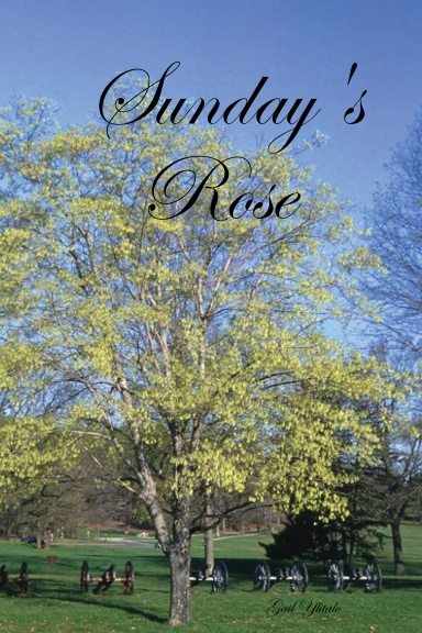 Sunday's Rose