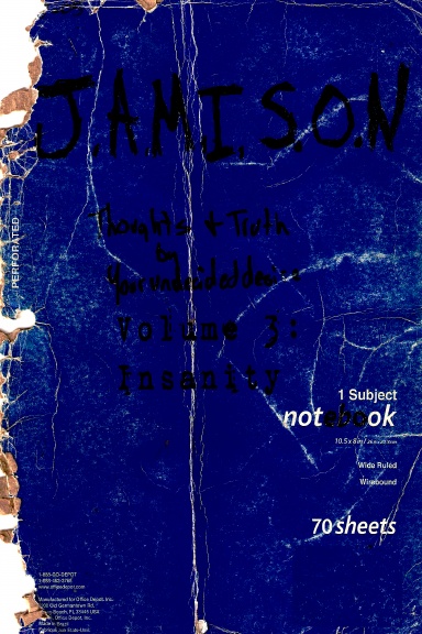 J.a.m.i.s.o.n Thoughts and Truth By your undecided desire Volume 3: Insanity