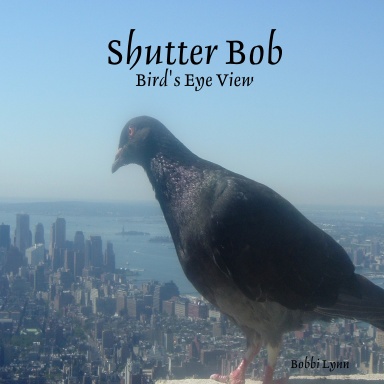 Shutter Bob: Bird's Eye View