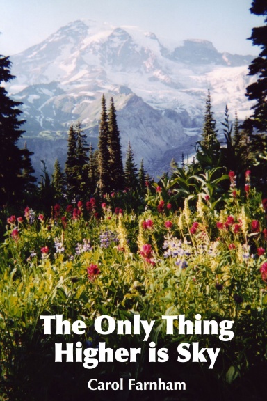 The Only Thing Higher is Sky