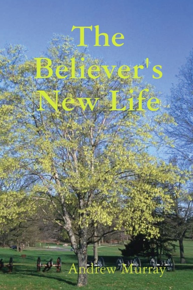 The Believer's New Life