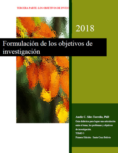 Formulación de los objetivos de  investigación