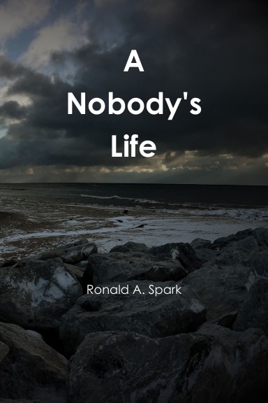 A Nobody's Life