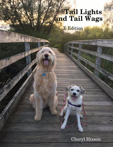 Tail Lights and Tail Wags: E Edition