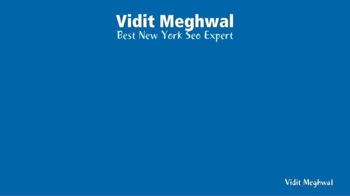 Vidit Meghwal - Best New York Seo Expert