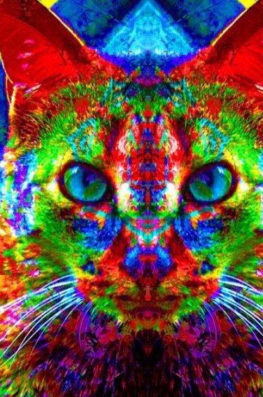 Chromatic Cat