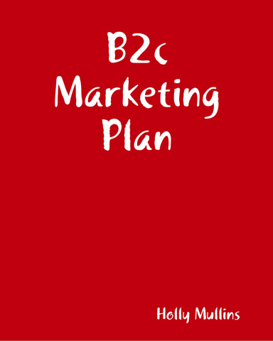 B2c Marketing Plan