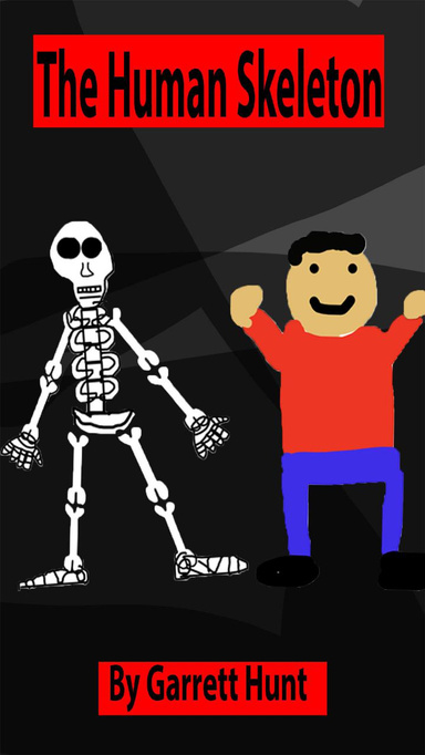 The Human Skeleton