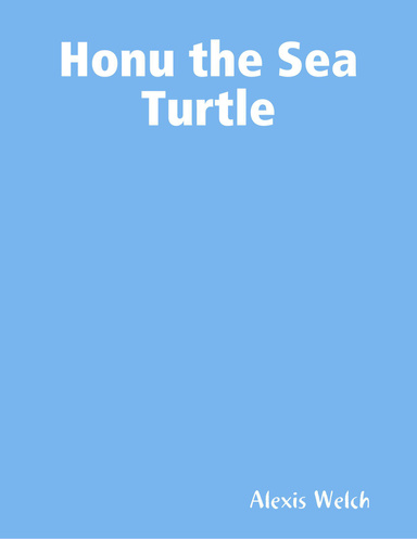 Honu the Sea Turtle