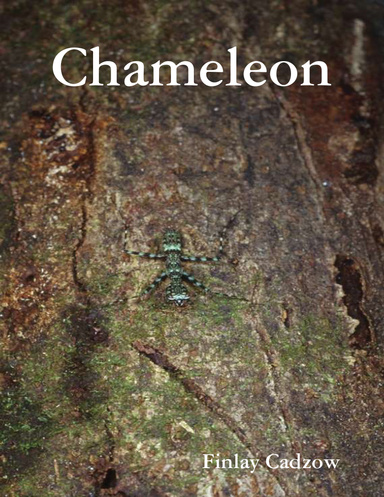 Chameleon