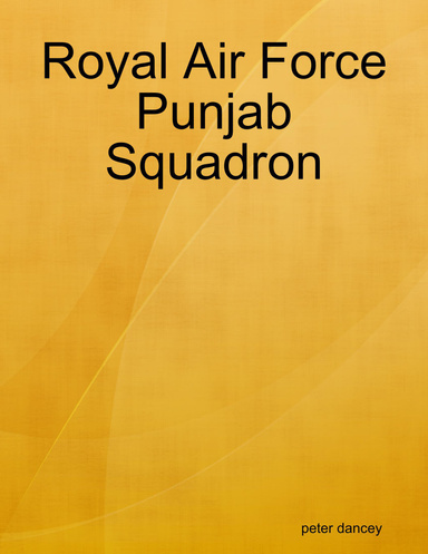 Royal Air Force Punjab Squadron