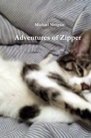 Adventures of Zipper