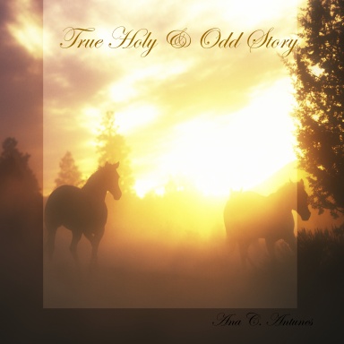 True Holy & Odd Story