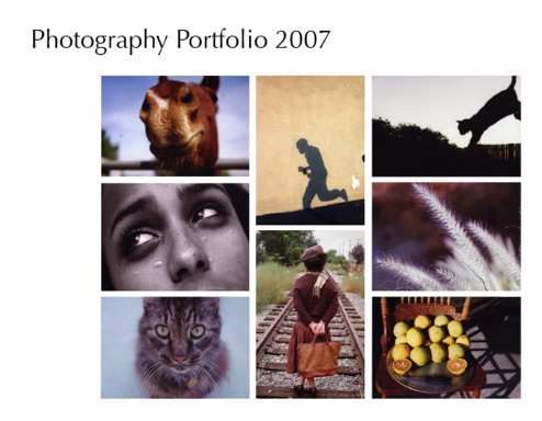 Photography Portfolio 2007