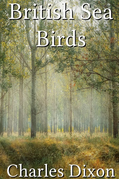 British Sea Birds