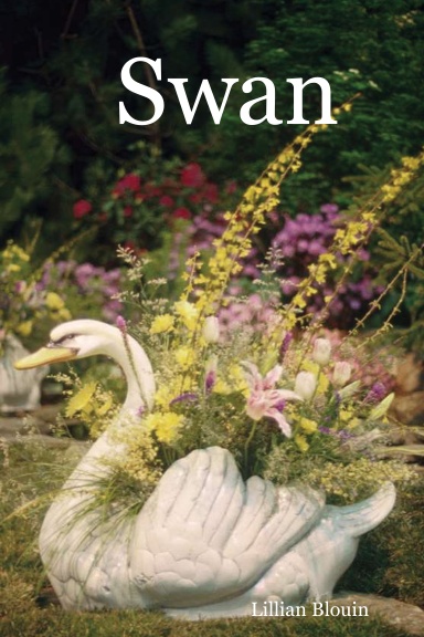 Swan